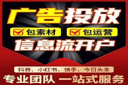 成功SEM服务案例：优化广告投放